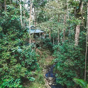  Lodge Narrows Escape Rainforest Retreat Australia